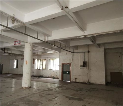 日照市廠房驗(yàn)廠安全檢測(cè)鑒定收費(fèi)標(biāo)準(zhǔn)解析及建筑材料安全新規(guī)引關(guān)注